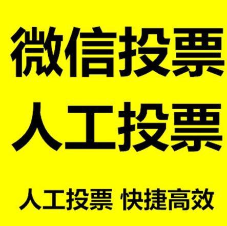 大理白族自治州投票活动拉票能被查出来吗？如何操作能不被发现？